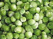 Fresh brussels sprouts (macro zoom)