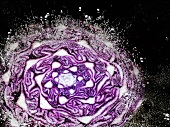 Red cabbage in hot oil