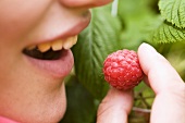 A woman eating a raspberry