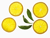 Four orange slices and leaves