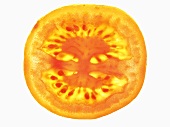 A tomato slice, lit from behind