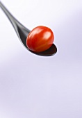 Red cocktail tomato on a black plastic spoon