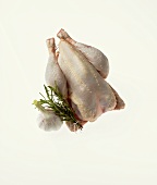 A whole, plucked, French chicken