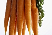 Bunch of carrots, close-up