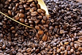 Coffee beans falling from scoop