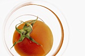 A tomato in a glass bowl