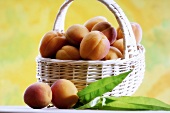 Apricots in a basket