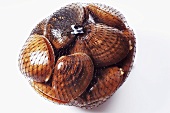 Clams packed in a net, ready to sell