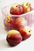Nectarines in and in front of a plastic punnet with net