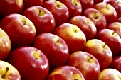 Red apples, filling the picture
