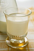 Glass of milk in front of carafe of milk