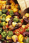 Large Variety of Bell Peppers