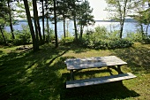 Rustikaler Holztisch mit Bänken an einem See