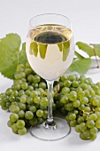 Ein Glas Weißwein und Weintrauben