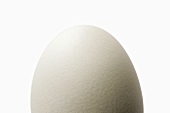 A white hen’s egg