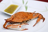 Cooked blue crab