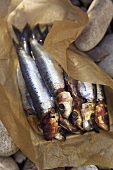 Smoked sardines on baking parchment