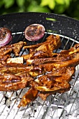 Spareribs auf dem Grill