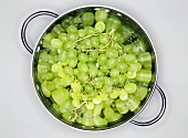 Green grapes in a colander
