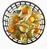Physalis in small basket