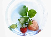 Strawberries with leaves in ice