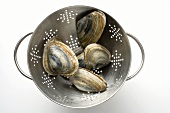 Clams in colander