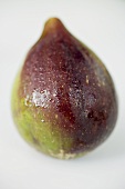 A fig