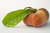 A peach with leaf