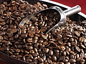 Coffee beans with scoop