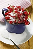 Fresh redcurrants with sugar in a jug