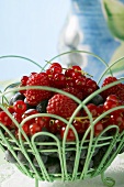 Mixed berries in a basket