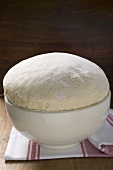Fresh yeast dough in a bowl