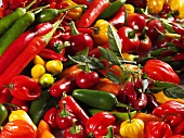 Mixed chillies