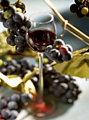 A glass of red wine with grapes