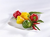 Peppers and chillies in a white dish