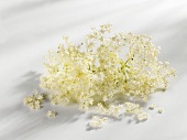 Elderflowers