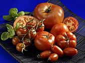Various types of red tomatoes and basil