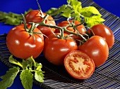 Tomatoes, variety 'Voyager'