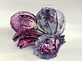 Red cabbage