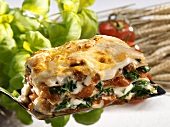 A portion of spinach lasagne with tomatoes