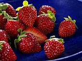 Erdbeeren in einem blauen Teller