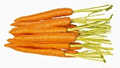 Fresh carrots in a heap