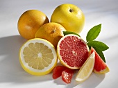 Various types of grapefruit
