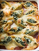 Gratin of pasta shells with spinach and mozzarella