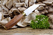 Shiitake mushrooms with knife and parsley
