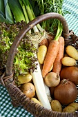 Basket of fresh vegetables and salad