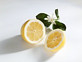 Halbierte Zitrone mit Zweig und Blüte
