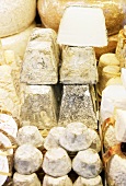 An assorted of raw milk cheeses