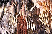 Fish at a market in Japan