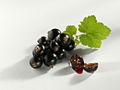 Blackcurrants with leaf, one halved
